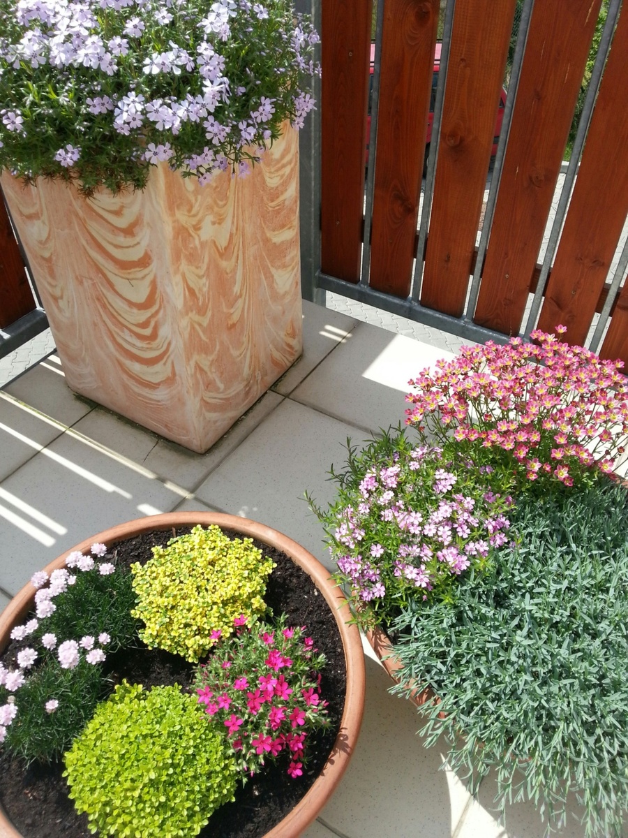 Terasy a balkóny doplňte truhlíky s květy