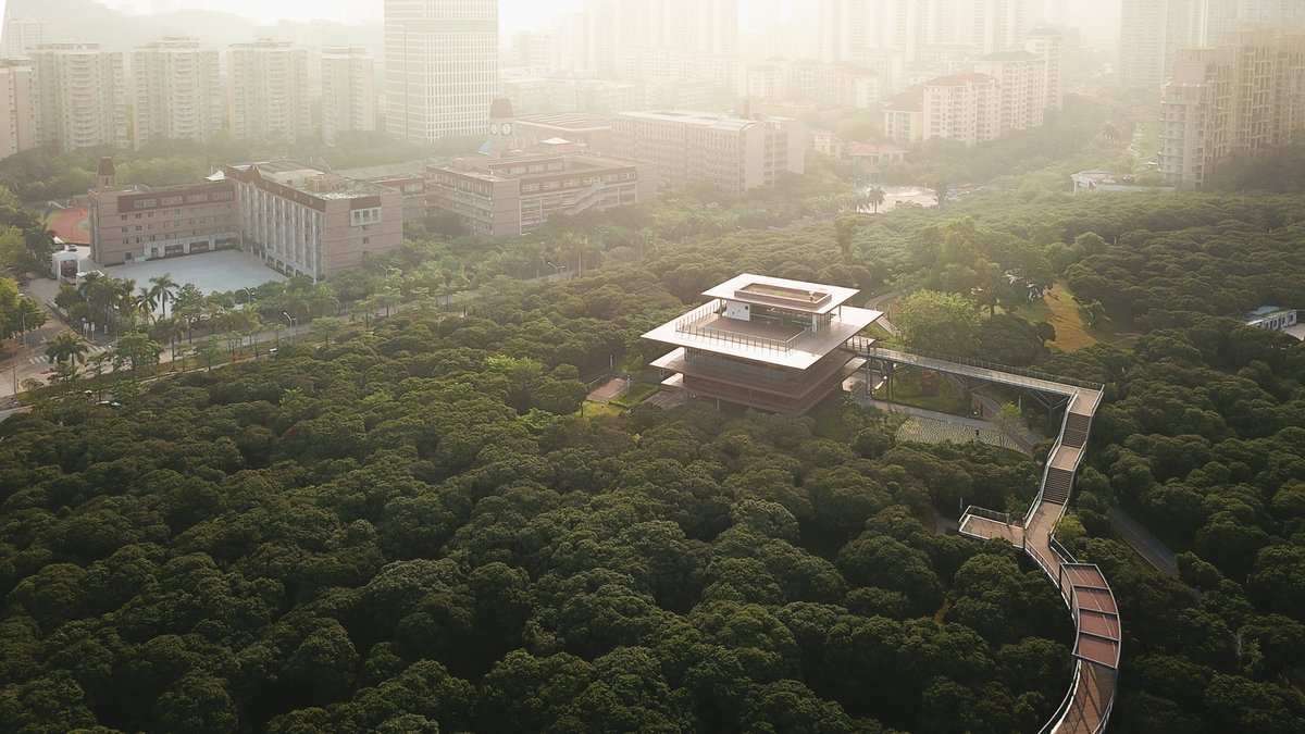 Chrám poznání: nová podoba vědecké knihovny v Šen-Čenu