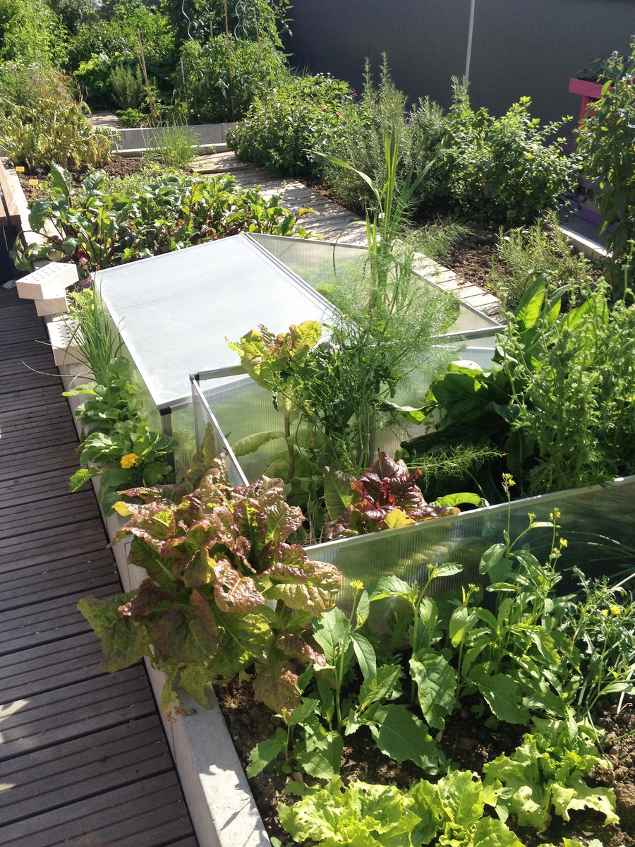 Devadesát sociálních bytů sdílí společnou ideu a střešní zahrady