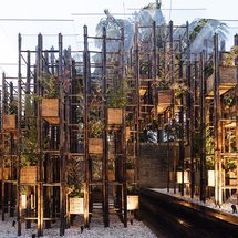 Bambus - zelená ocel pro 21. století